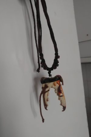 KISkaç