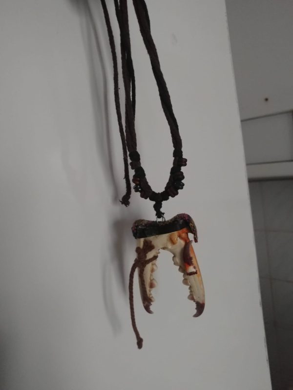 KISkaç